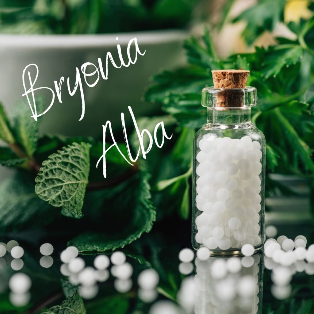 close up shot of homeopathic remedy bryonia alba