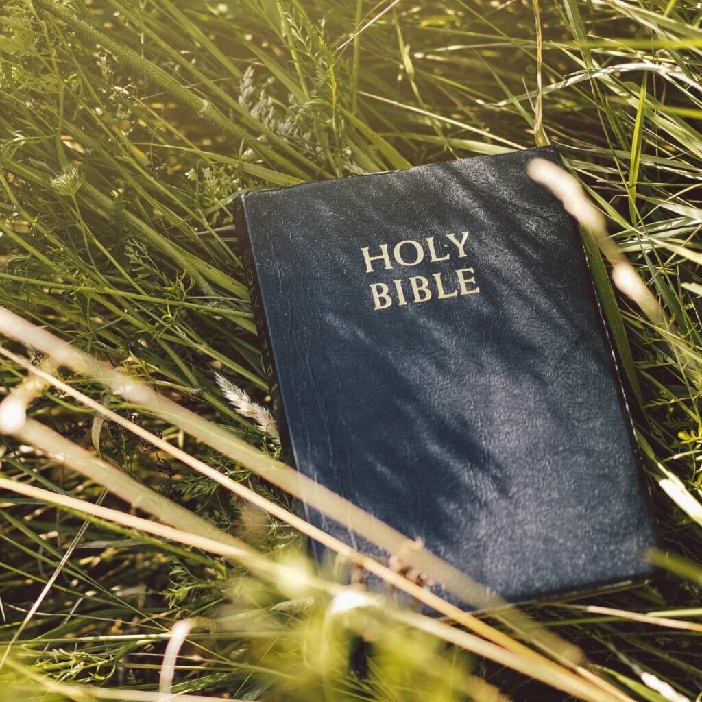 Holy Bible laying in a field of grass
