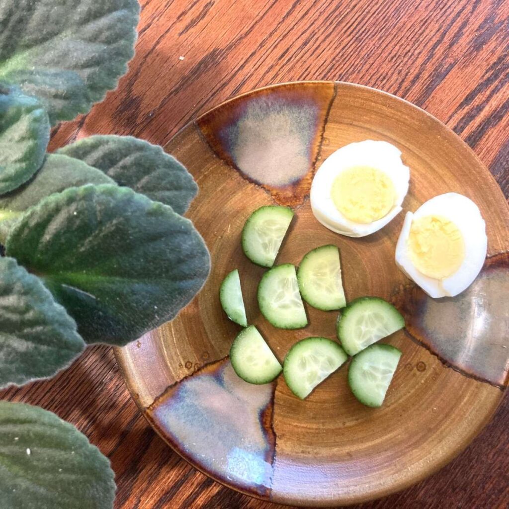 Plate with snack of boiled eggs and cucumber slices