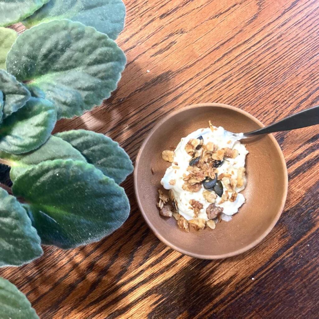 Small bowl of yogurt topped with granola