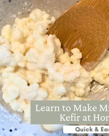 close up shot of milk kefir grains in a strainer with a wooden spoon